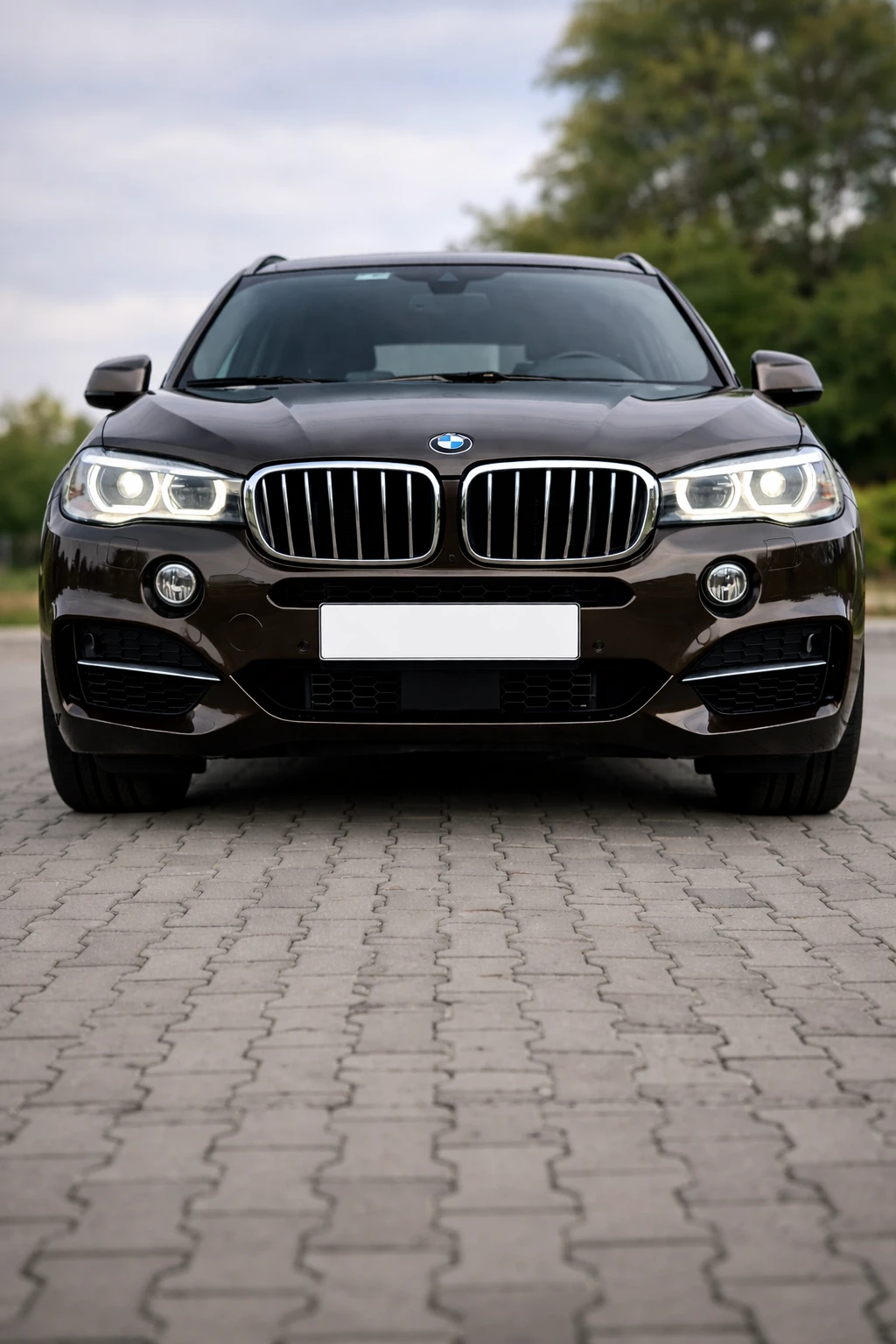 BMW X5 M50d, 6+ 1, � ��� | Mobile.bg � ����������� 2