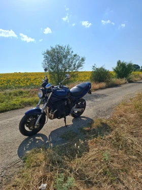     Suzuki Bandit