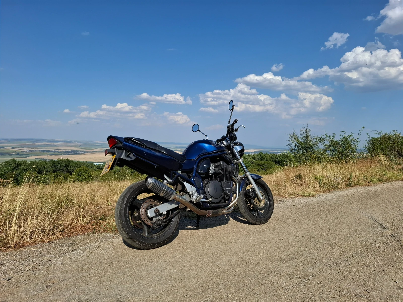 Suzuki Bandit  - изображение 3