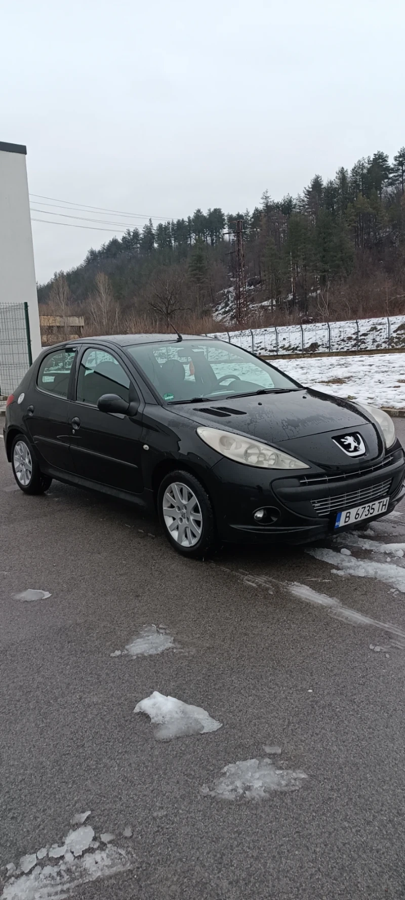 Peugeot 206 206+ , снимка 1 - Автомобили и джипове - 48451573