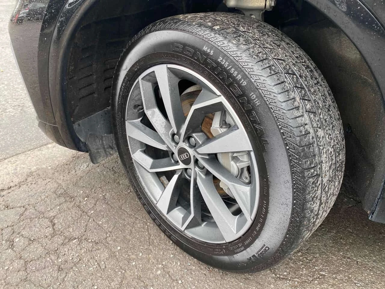 Audi Q5 Progressiv  CARFAX, снимка 7 - Автомобили и джипове - 54756344
