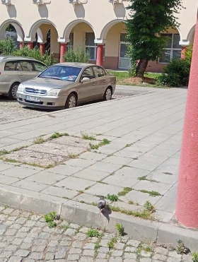 Opel Vectra, снимка 2