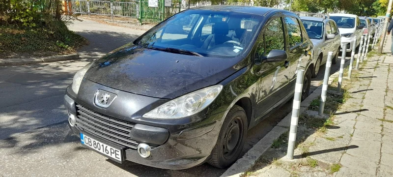 Peugeot 307 1.6хди 109к.с., снимка 12 - Автомобили и джипове - 47831118