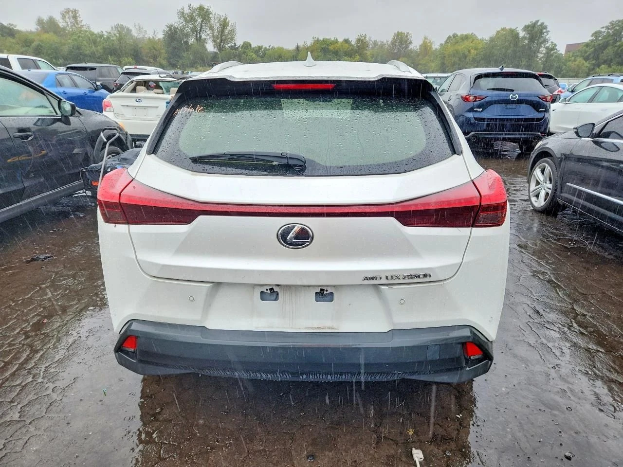Lexus UX 250h | Mobile.bg � ����������� 6
