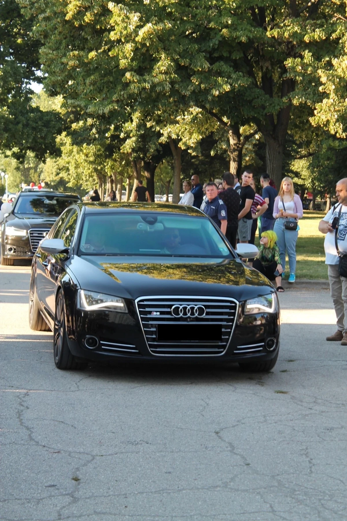 Audi A8 4.2 TDI сменени вериги !, снимка 1