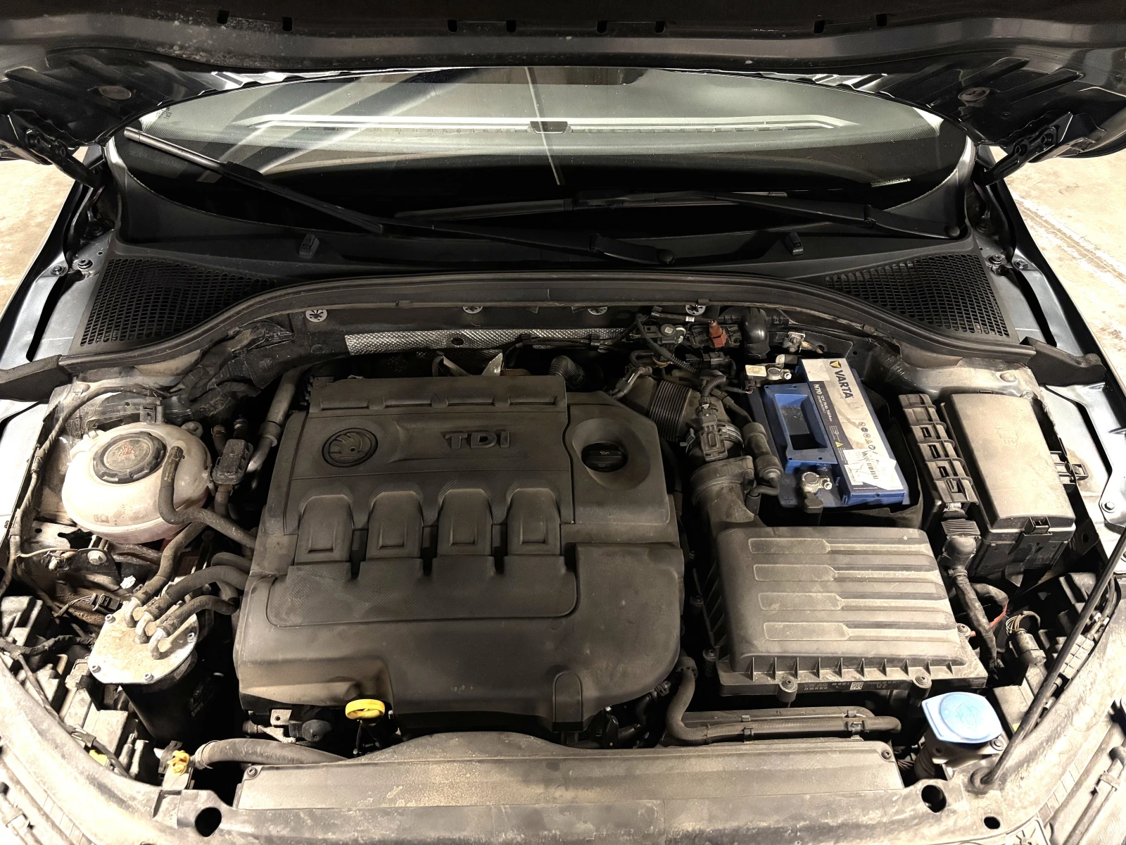 Skoda Octavia 3 FL Liftback 7DSG - изображение 7