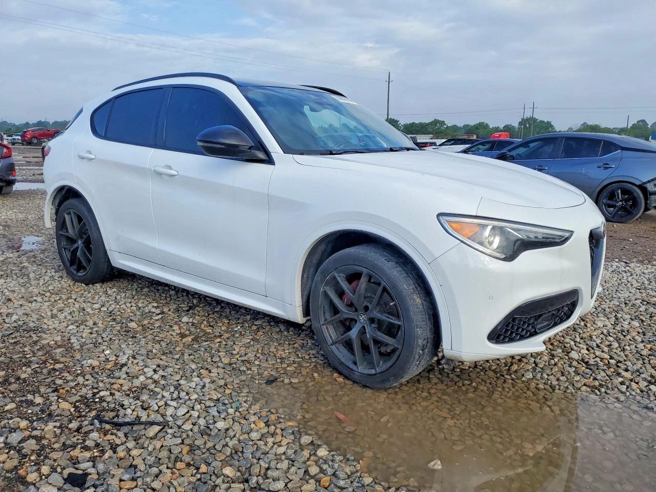 Alfa Romeo Stelvio 2.0l, снимка 4 - Автомобили и джипове - 54732085