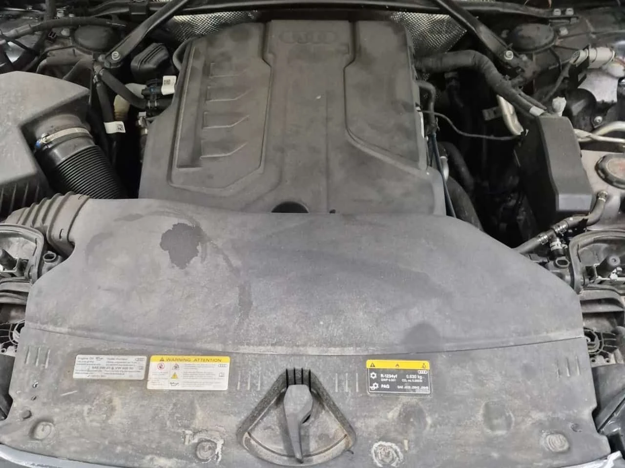 Audi Q5 * Progressiv * CARFAX * БЕЗ ПЪРВОНАЧАЛНА ВНОСКА, снимка 14 - Автомобили и джипове - 54784356