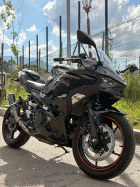 Kawasaki Ninja, снимка 1