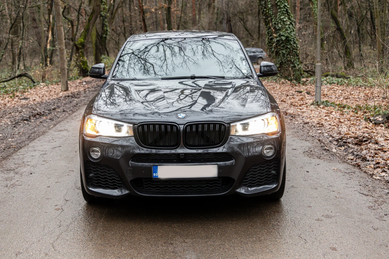 BMW X4, снимка 1