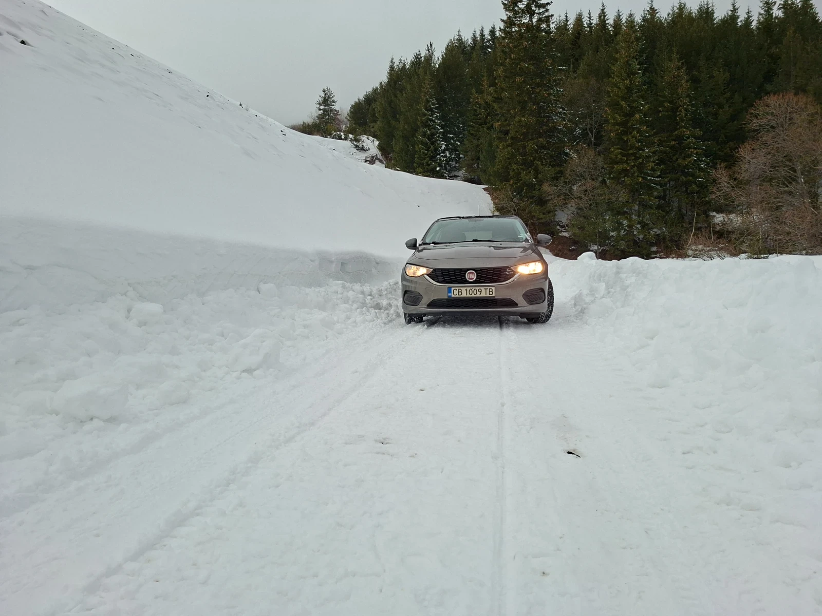 Fiat Tipo | Mobile.bg � ����������� 6