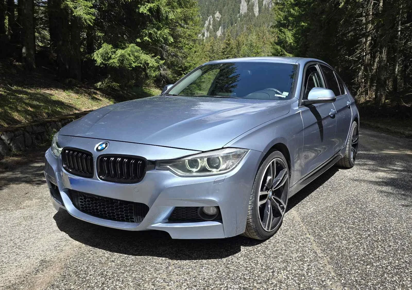 BMW 320  HARMAN KARDON - изображение 2