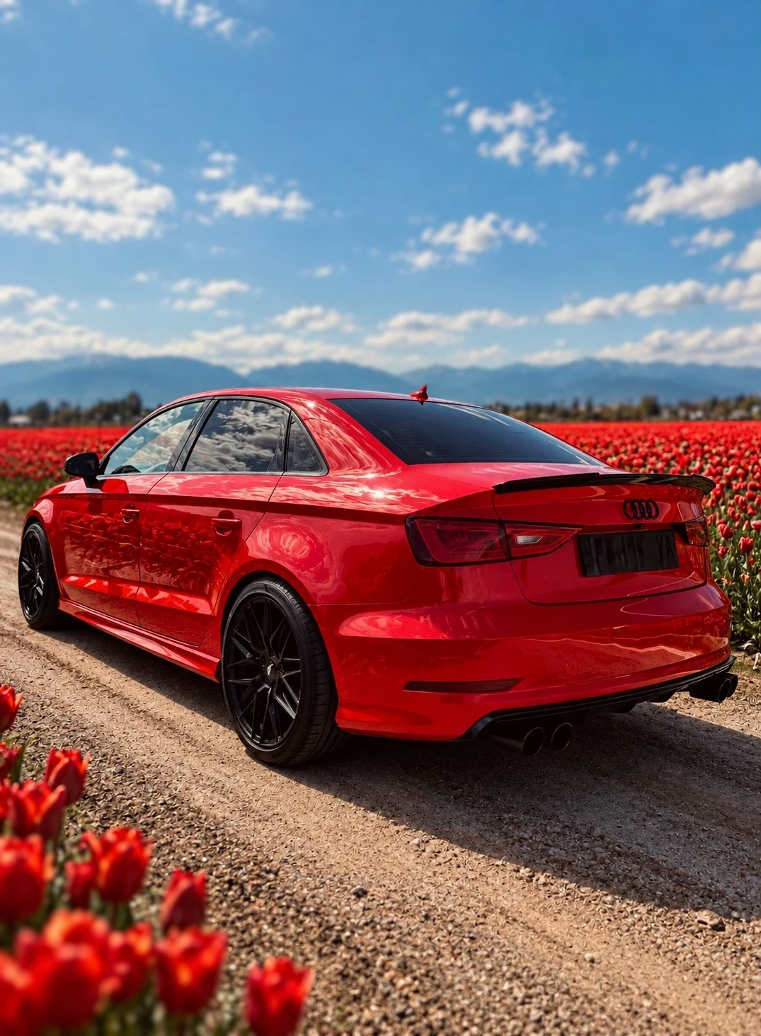 Audi A3 S3 Optic, снимка 4 - Автомобили и джипове - 56380910
