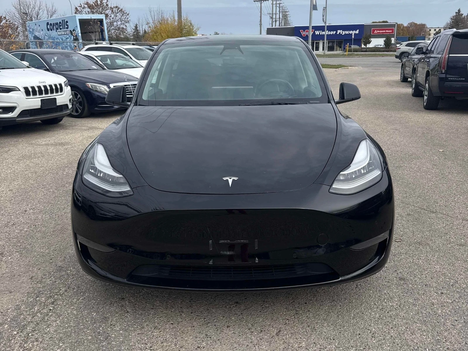 Tesla Model Y Long Range ���������� ���� �� �������� | Mobile.bg � ����������� 3