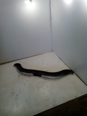 ������ ���� � ��������� ���...