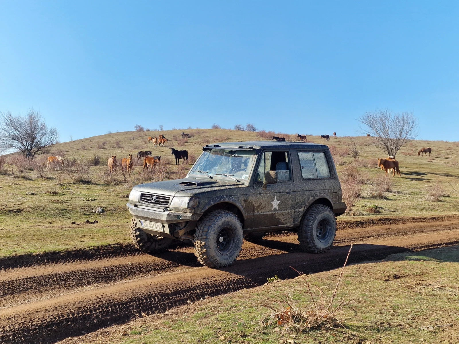 Hyundai Galloper 2.5TDI - изображение 9