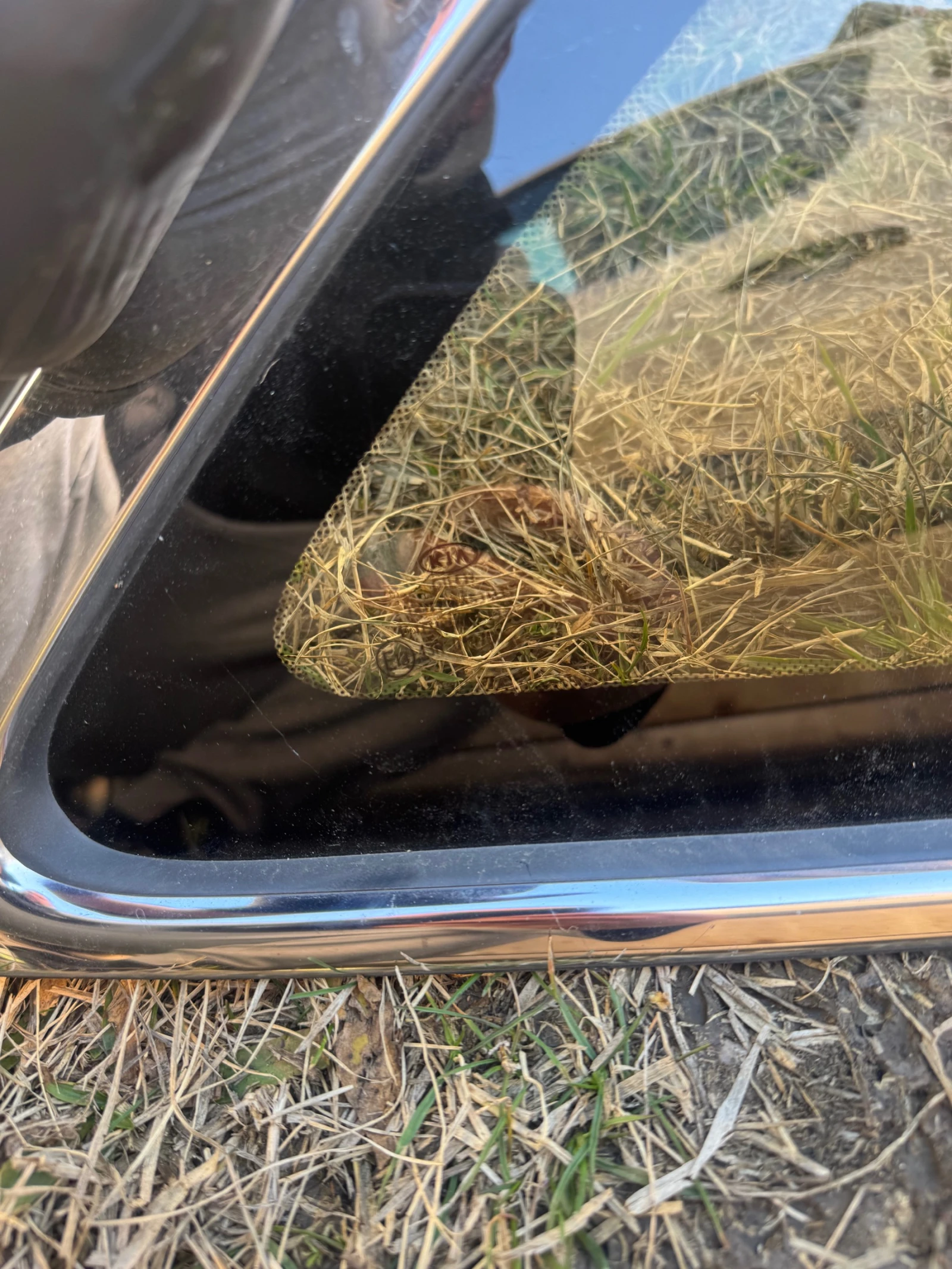 Kia Ceed 2014     | Mobile.bg   2