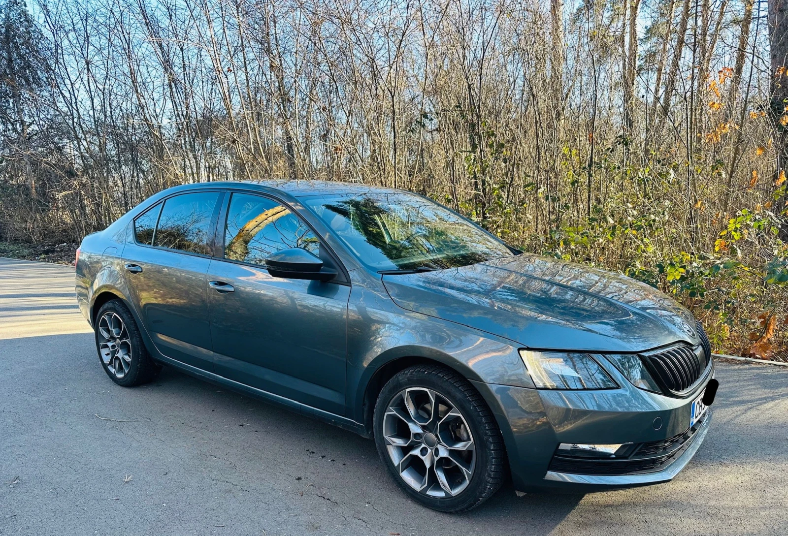 Skoda Octavia 4X4 - изображение 4