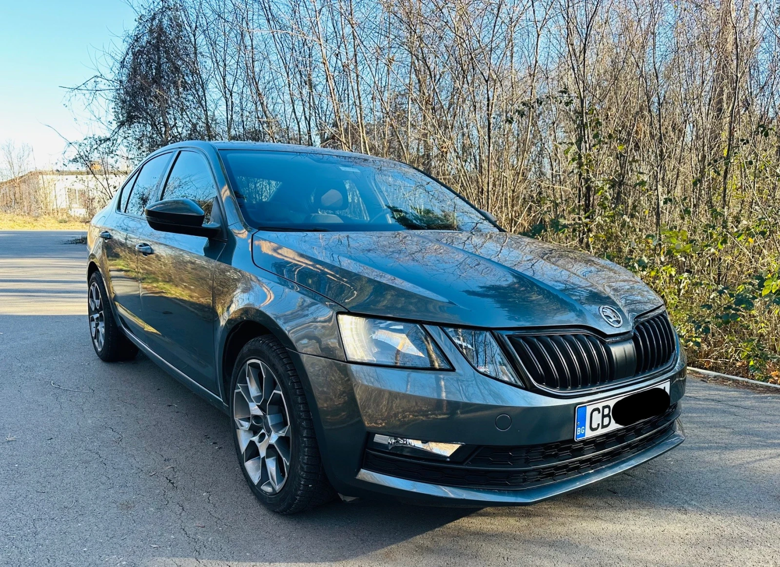 Skoda Octavia 4X4 - изображение 3