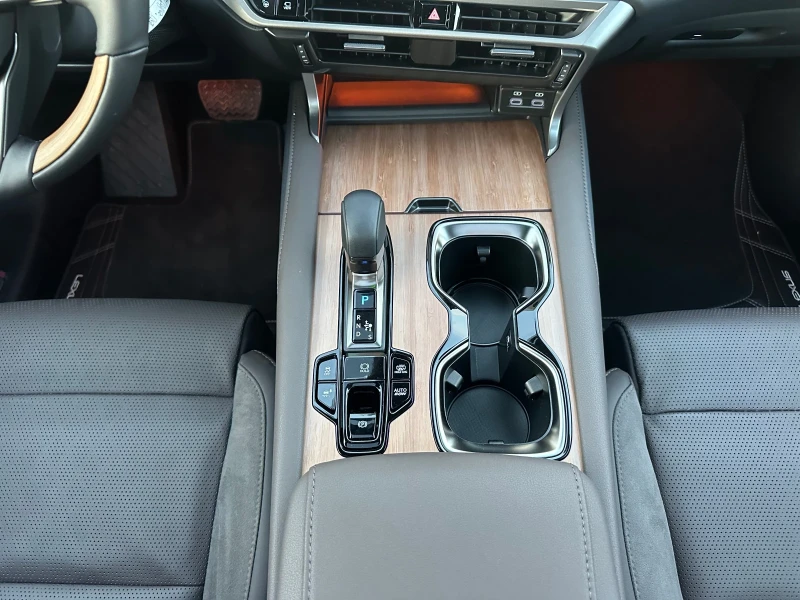 Lexus RX 450h plus Luxury, снимка 15 - Автомобили и джипове - 53156772