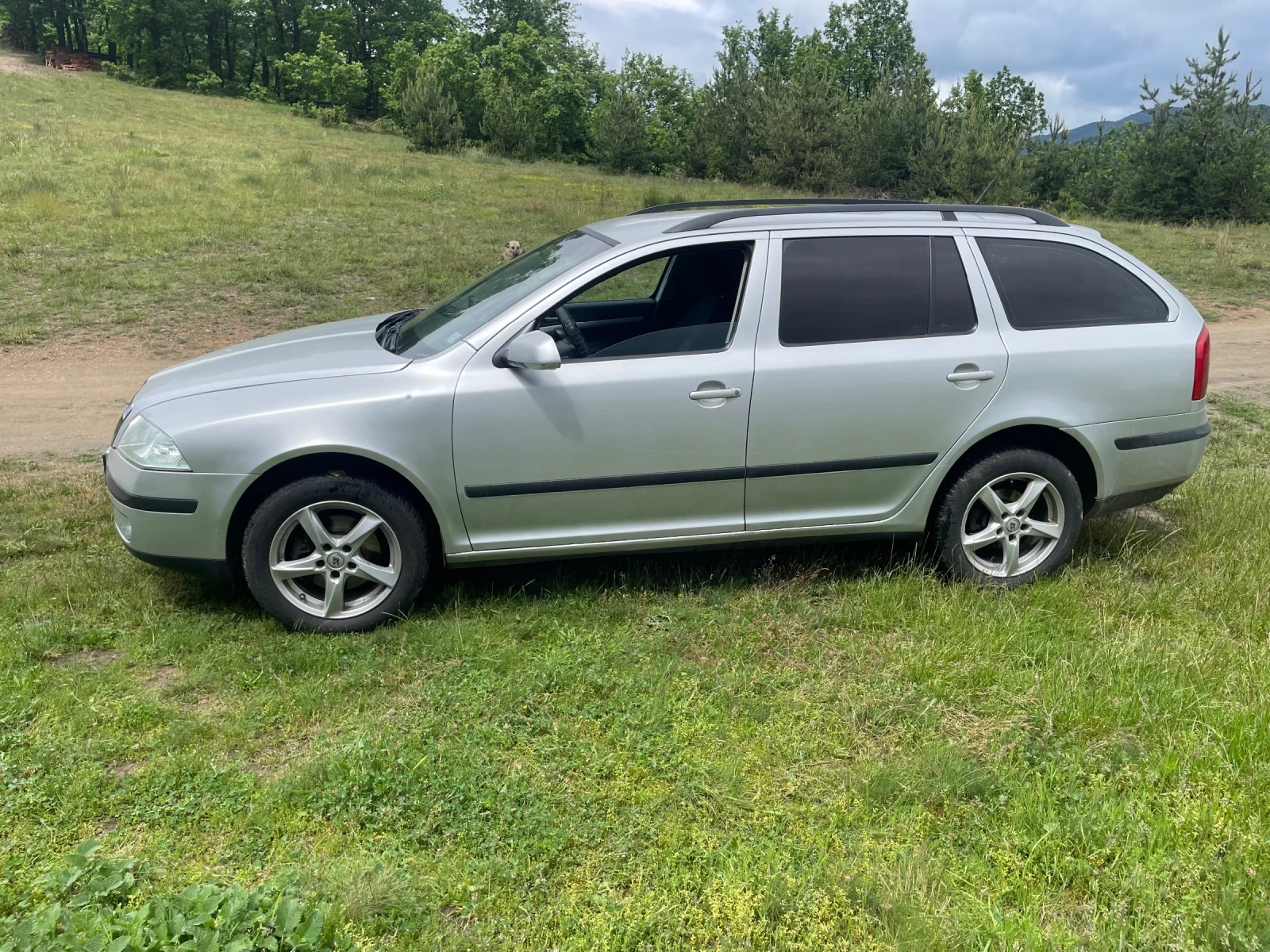 Skoda Octavia, снимка 4 - Автомобили и джипове - 54643100