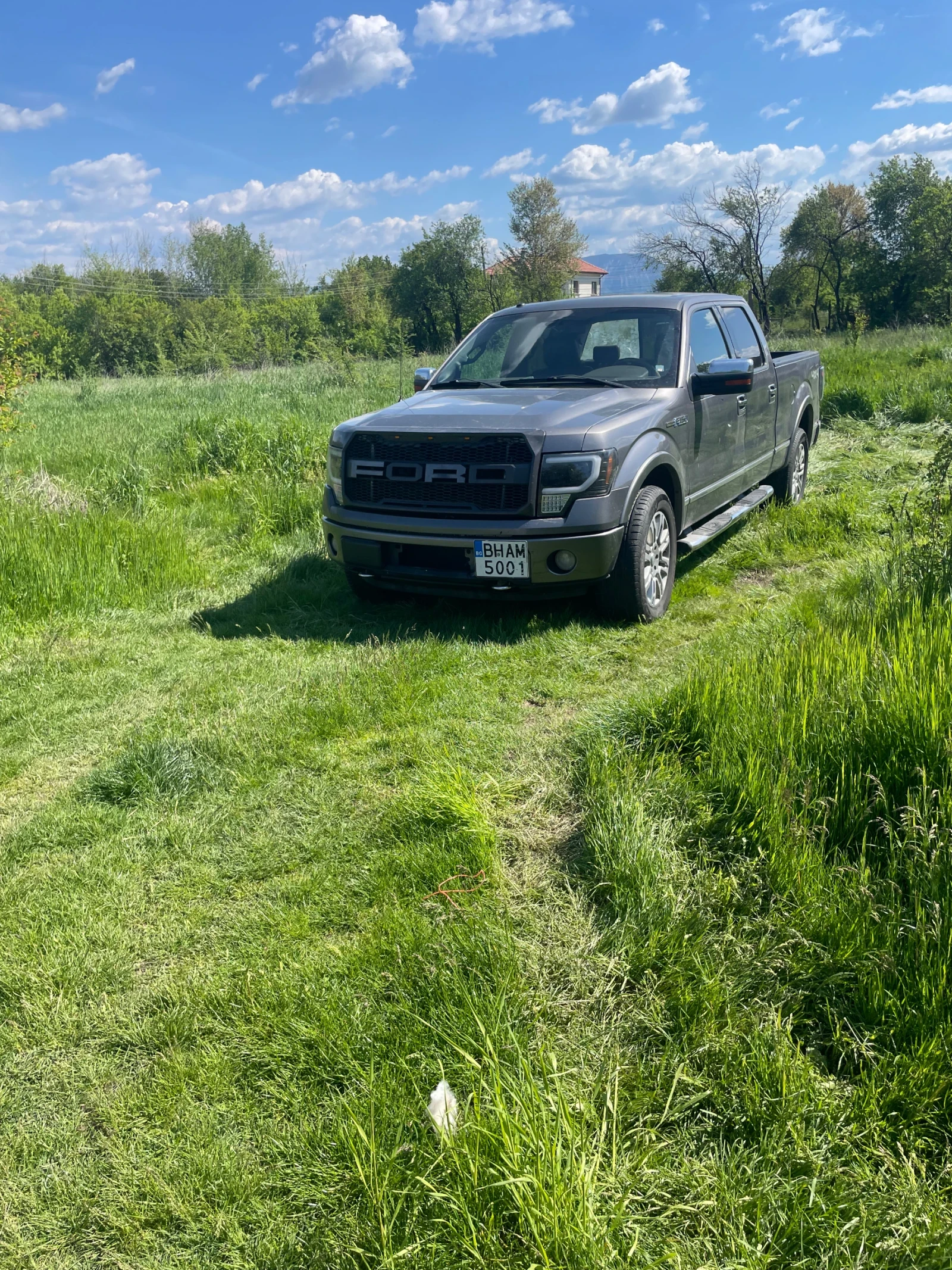 Ford F150 Platunum | Mobile.bg � ����������� 12