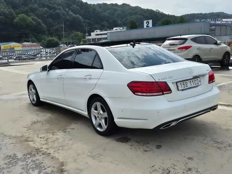 Mercedes-Benz E 250 CDI Avantgarde 4Matic | Mobile.bg   3