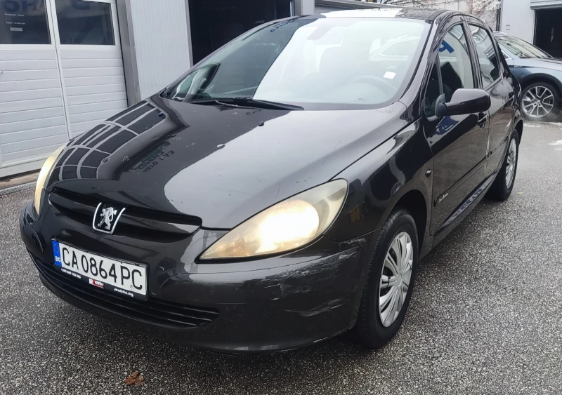 Peugeot 307 1.6i , снимка 1 - Автомобили и джипове - 47936937