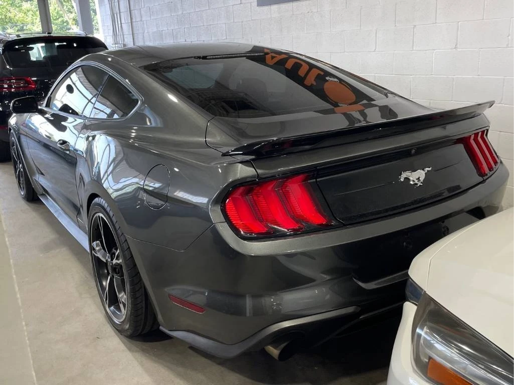 Ford Mustang EcoBoost  CARFAX - изображение 4