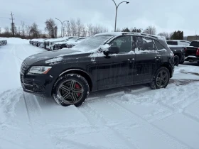 Audi SQ5 * 3.0T Dynamic Edition * CARFAX * БЕЗ ПЪРВОНАЧАЛНА - 13400 € / 26208.12 лв. - 74801631 2