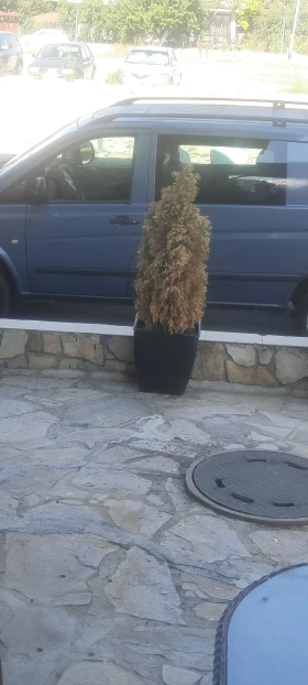 Mercedes-Benz Vito, снимка 9