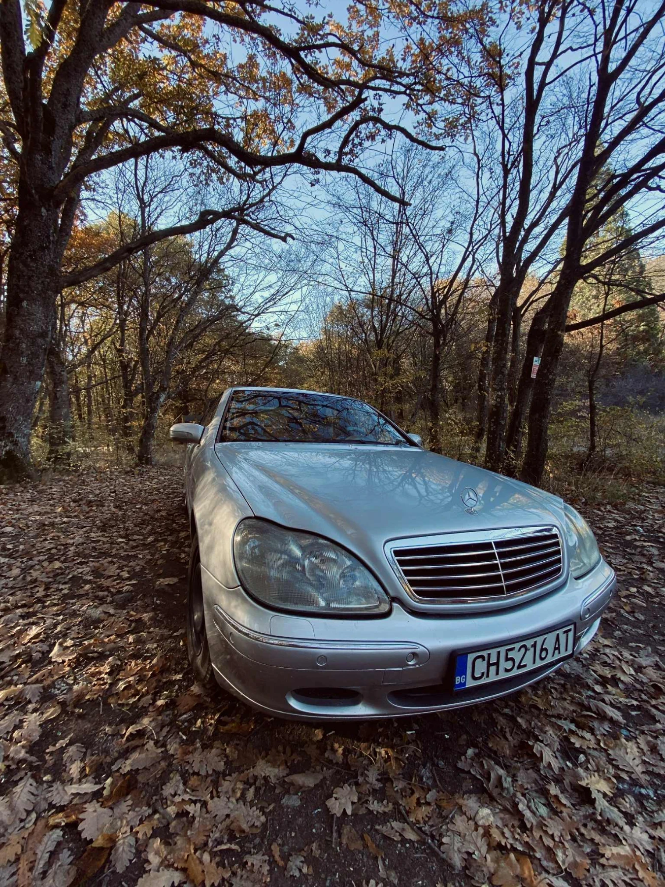 Mercedes-Benz S 320 | Mobile.bg   3