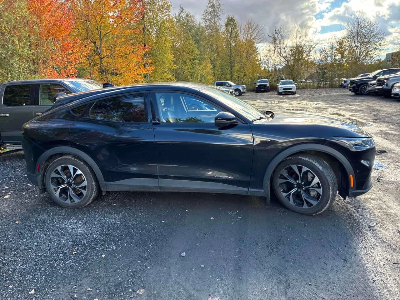 Ford Mustang Mach-E  * CARFAX * 2 ����� * KEYLESS | Mobile.bg � ����������� 4