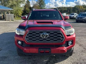 Toyota Tacoma * SR5 * CARFAX * ФИНАНСИРАНЕ | Auto.bg — изображение 6