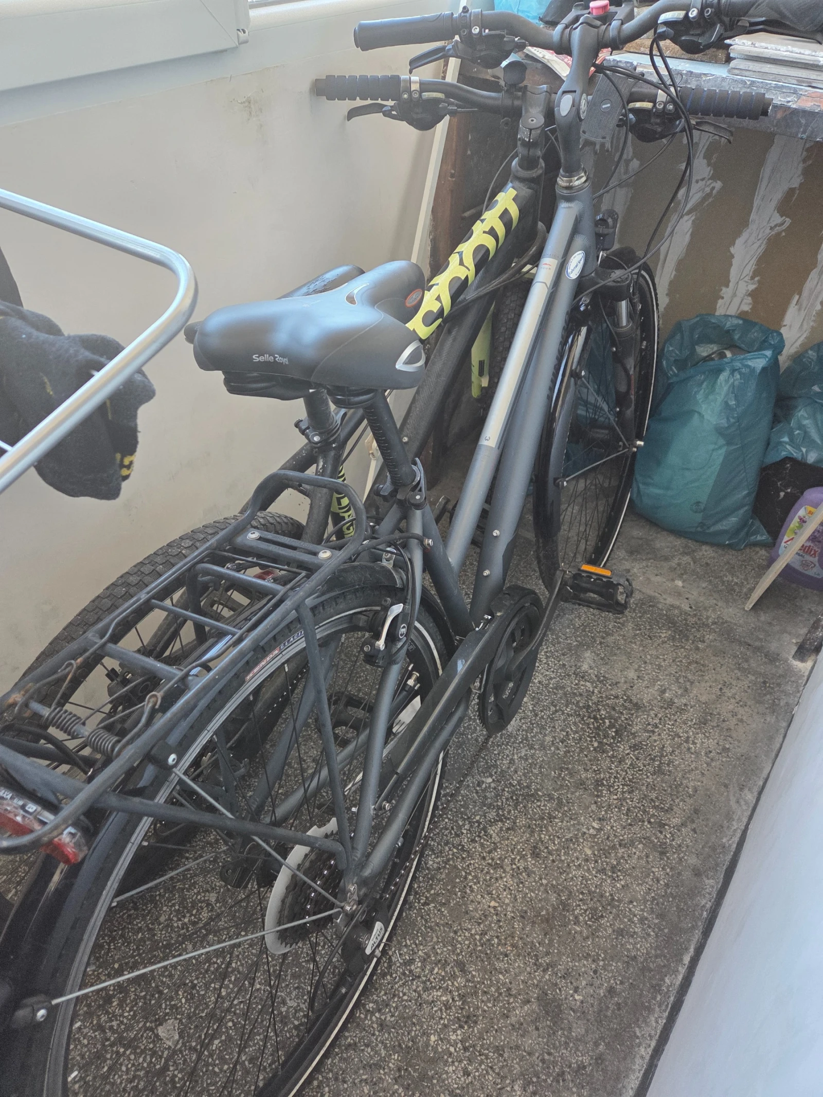 ������� Schinora | Mobile.bg � ����������� 5