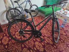 ������� Schinora | Mobile.bg � ����� ������ 12