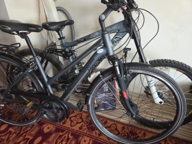 ������� Schinora | Mobile.bg � ����� ������ 16