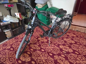 ������� Schinora | Mobile.bg � ����� ������ 13