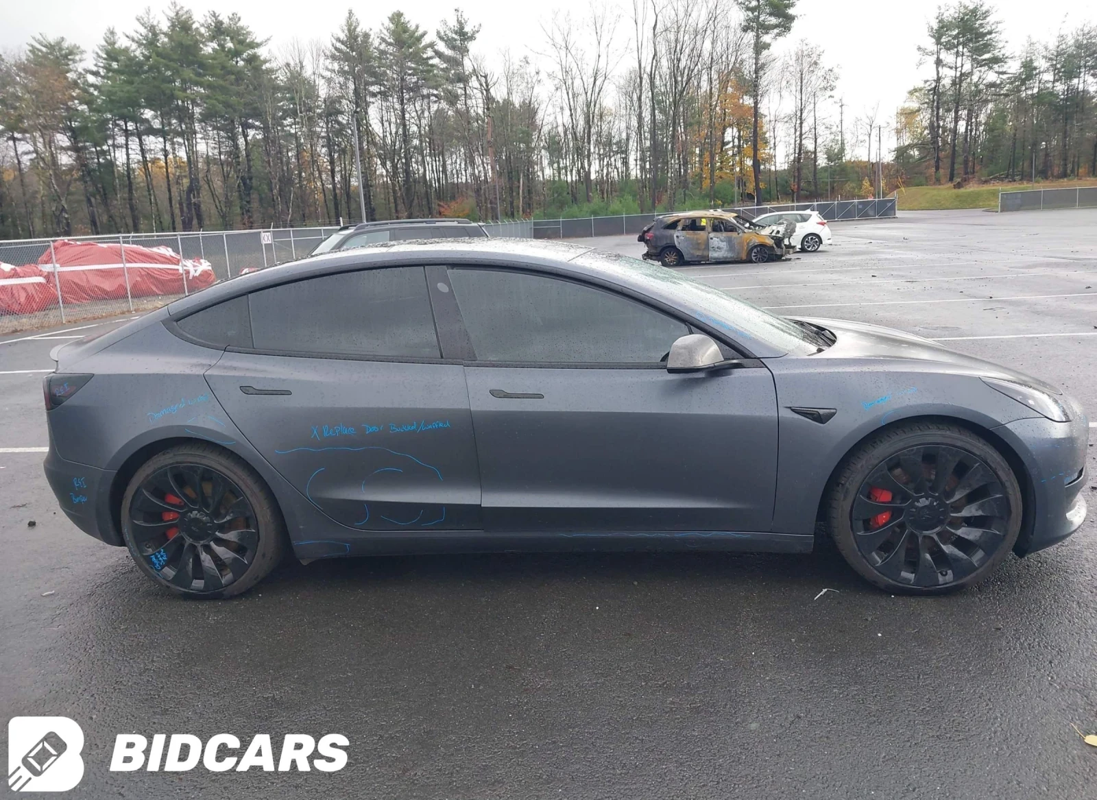 Tesla Model 3 Perfomance - изображение 3