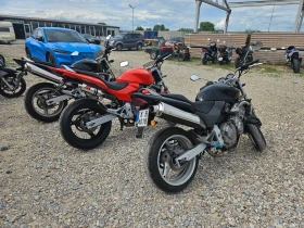 Honda Hornet ������ ������ | Mobile.bg � ����� ������ 5