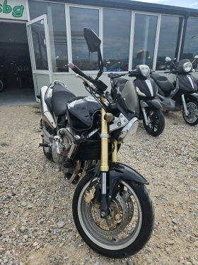 Honda Hornet ������ ������ | Mobile.bg � ����� ������ 6