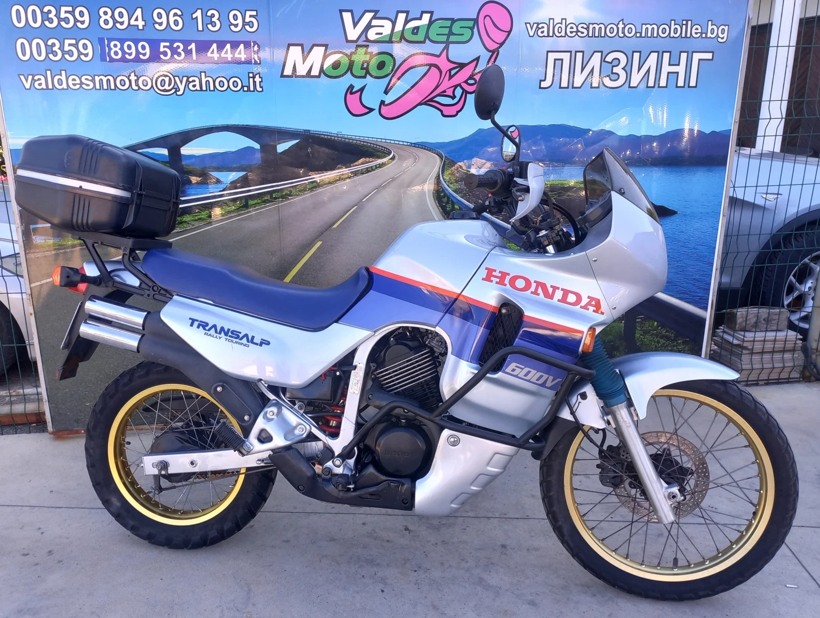 Honda TL Transalp 600 - изображение 4