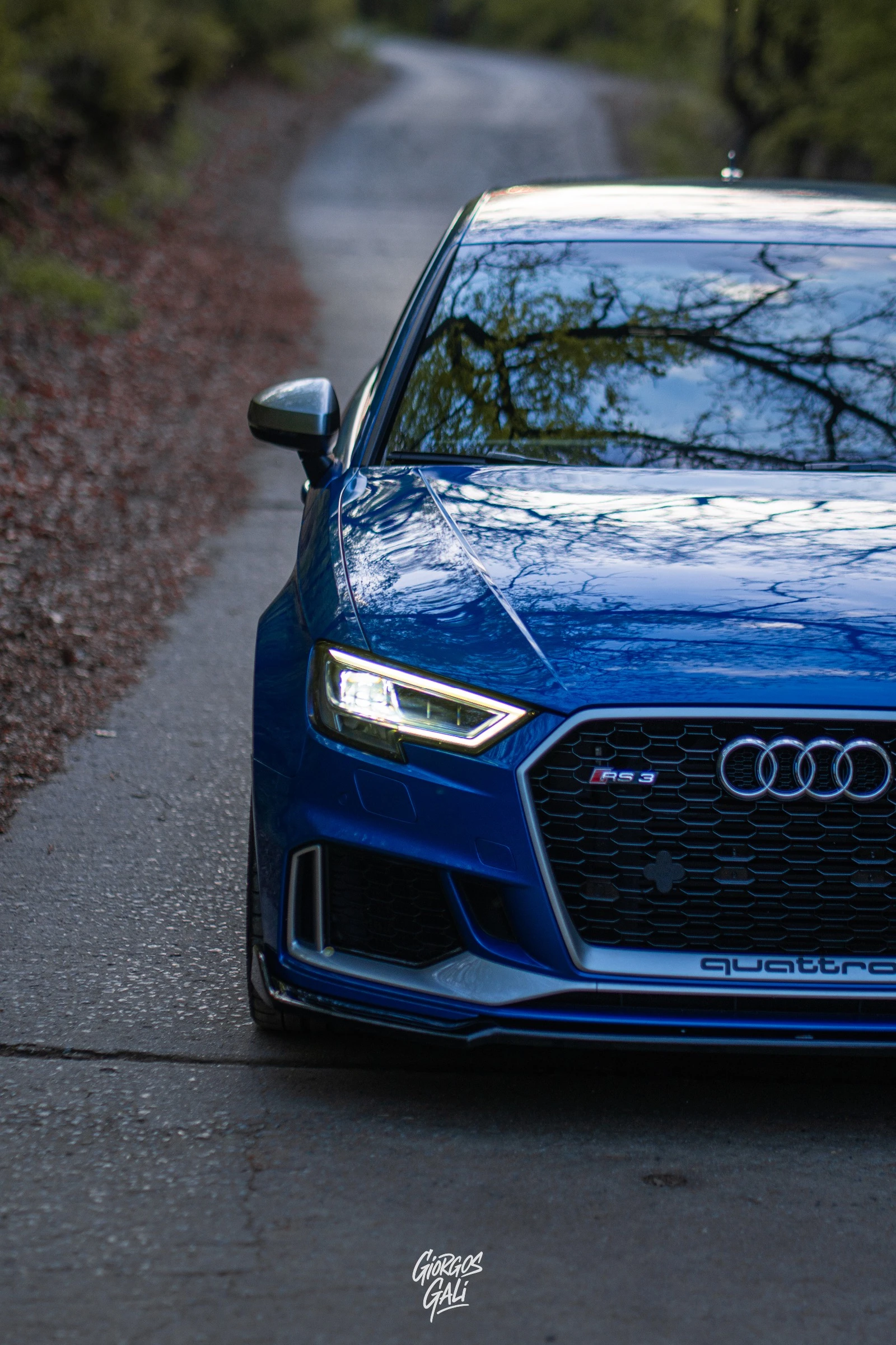 Audi Rs3  - изображение 3