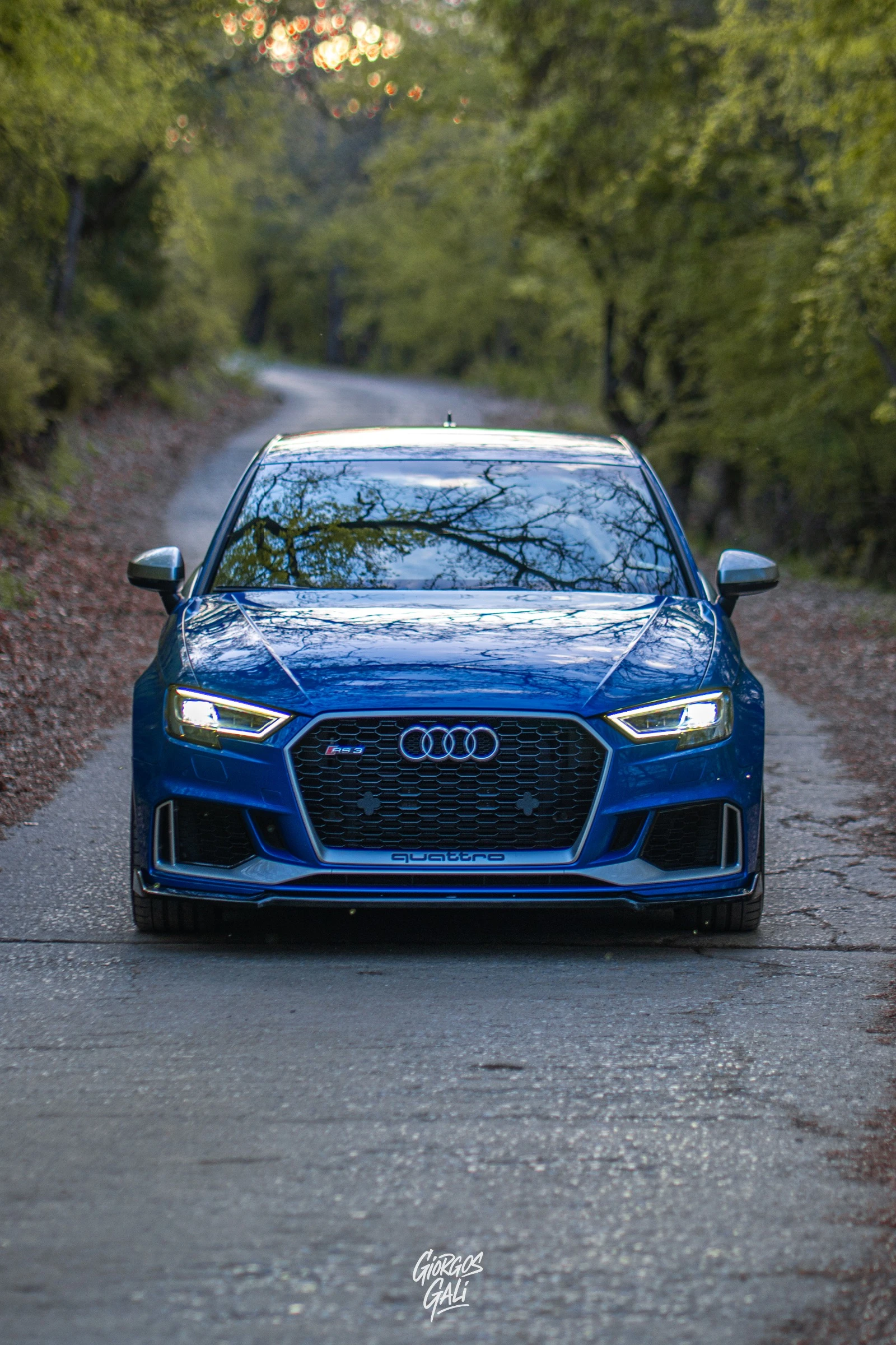 Audi Rs3  - изображение 2