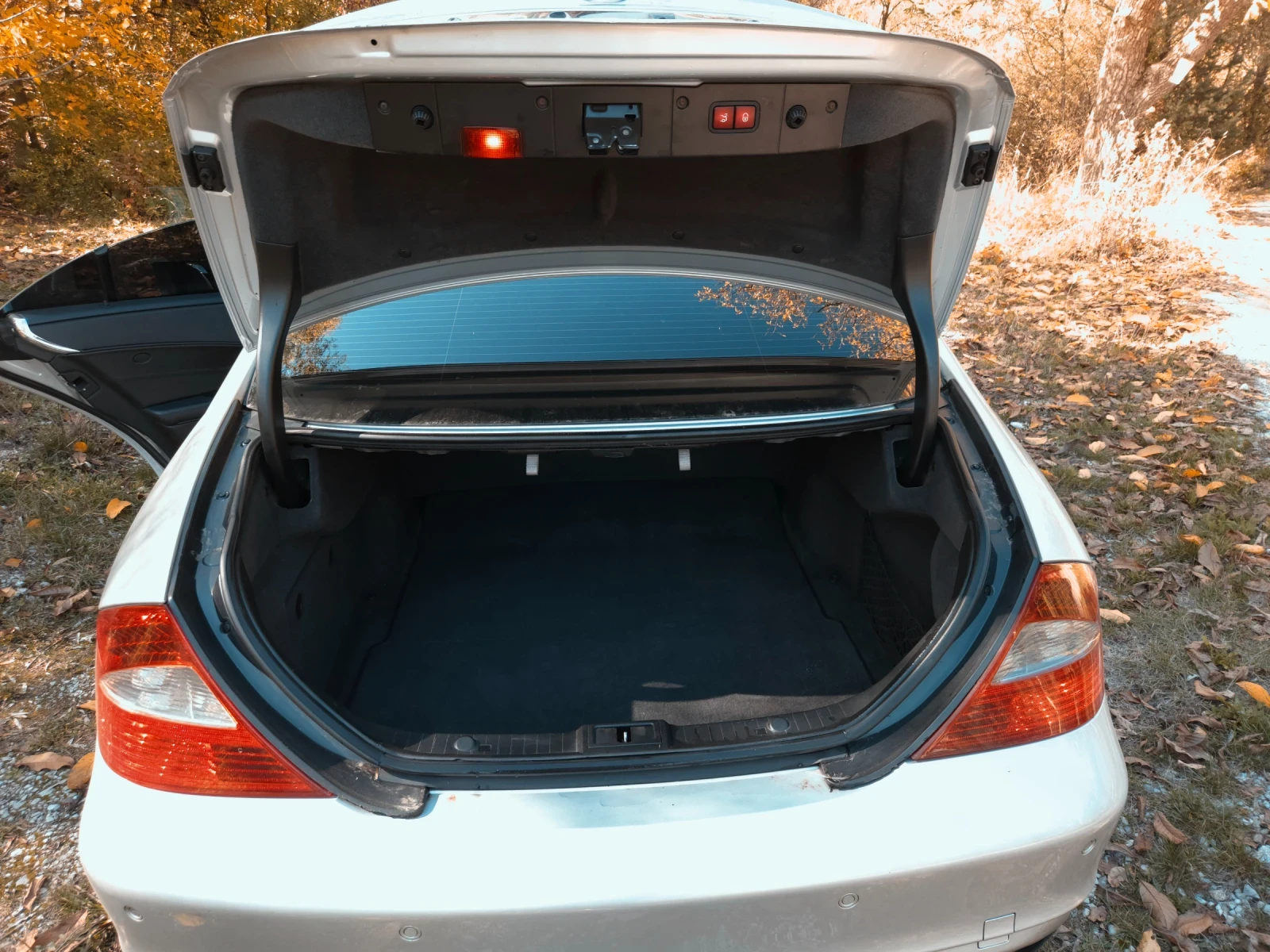 Mercedes-Benz CLS 320  - изображение 8