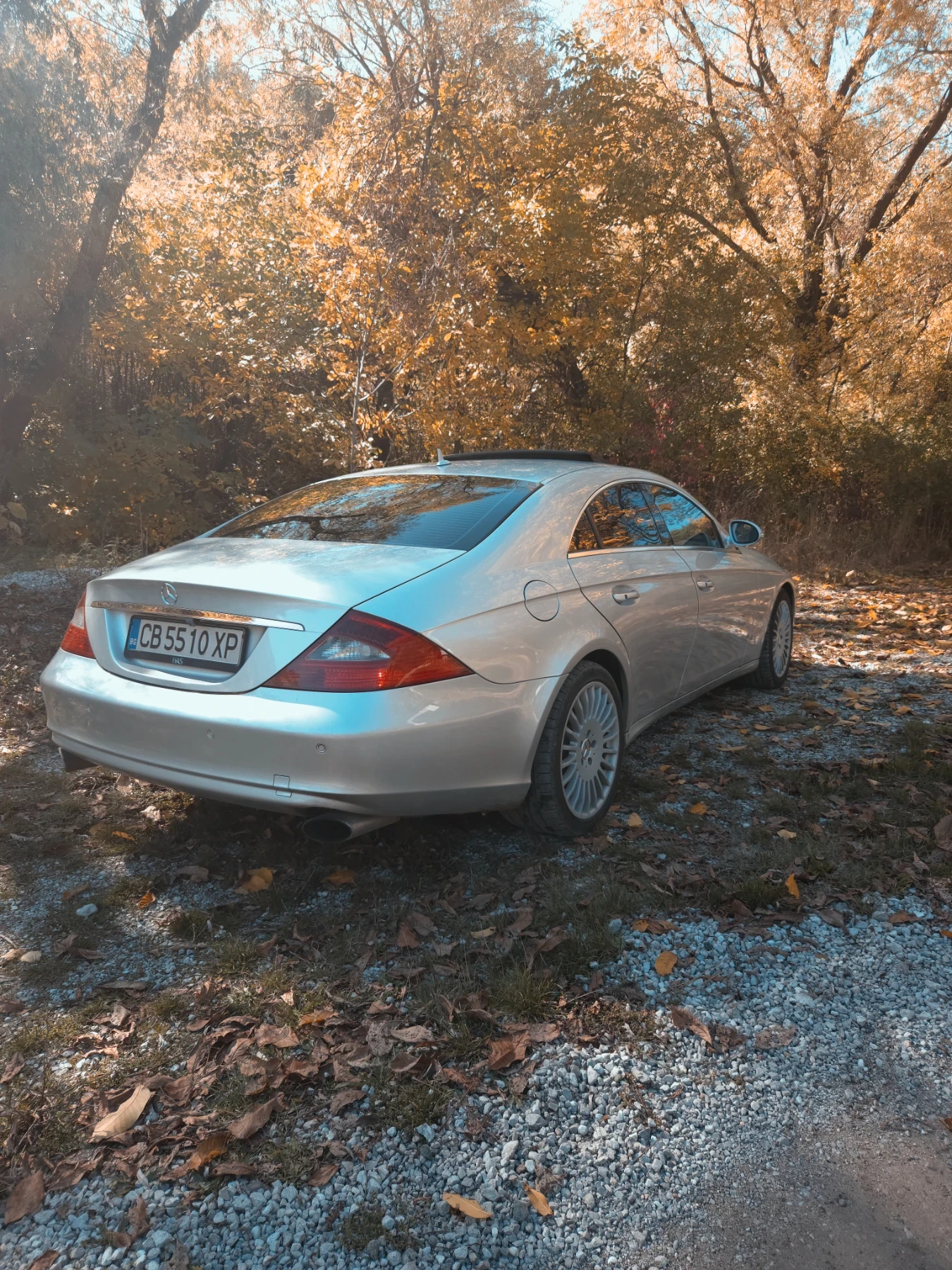 Mercedes-Benz CLS 320  - изображение 2