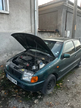 VW Polo 