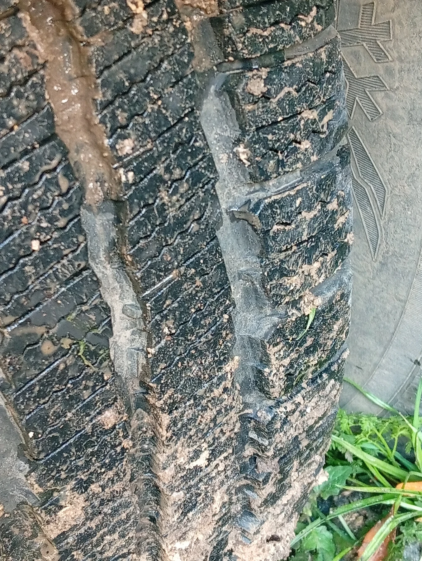 Iveco 65c15  | Mobile.bg   14