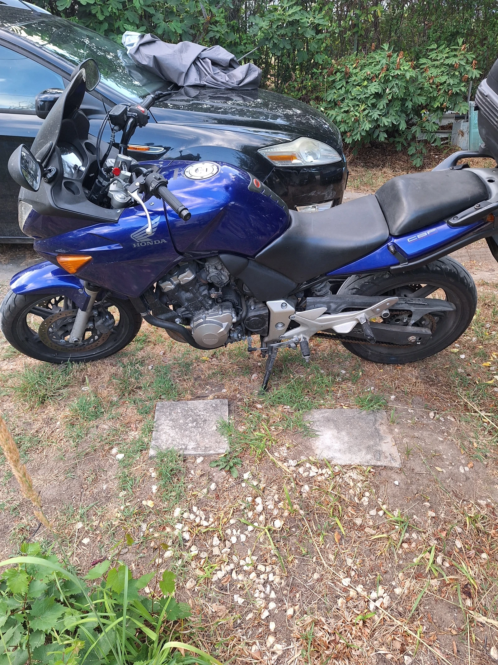 Honda Cbf  - изображение 2