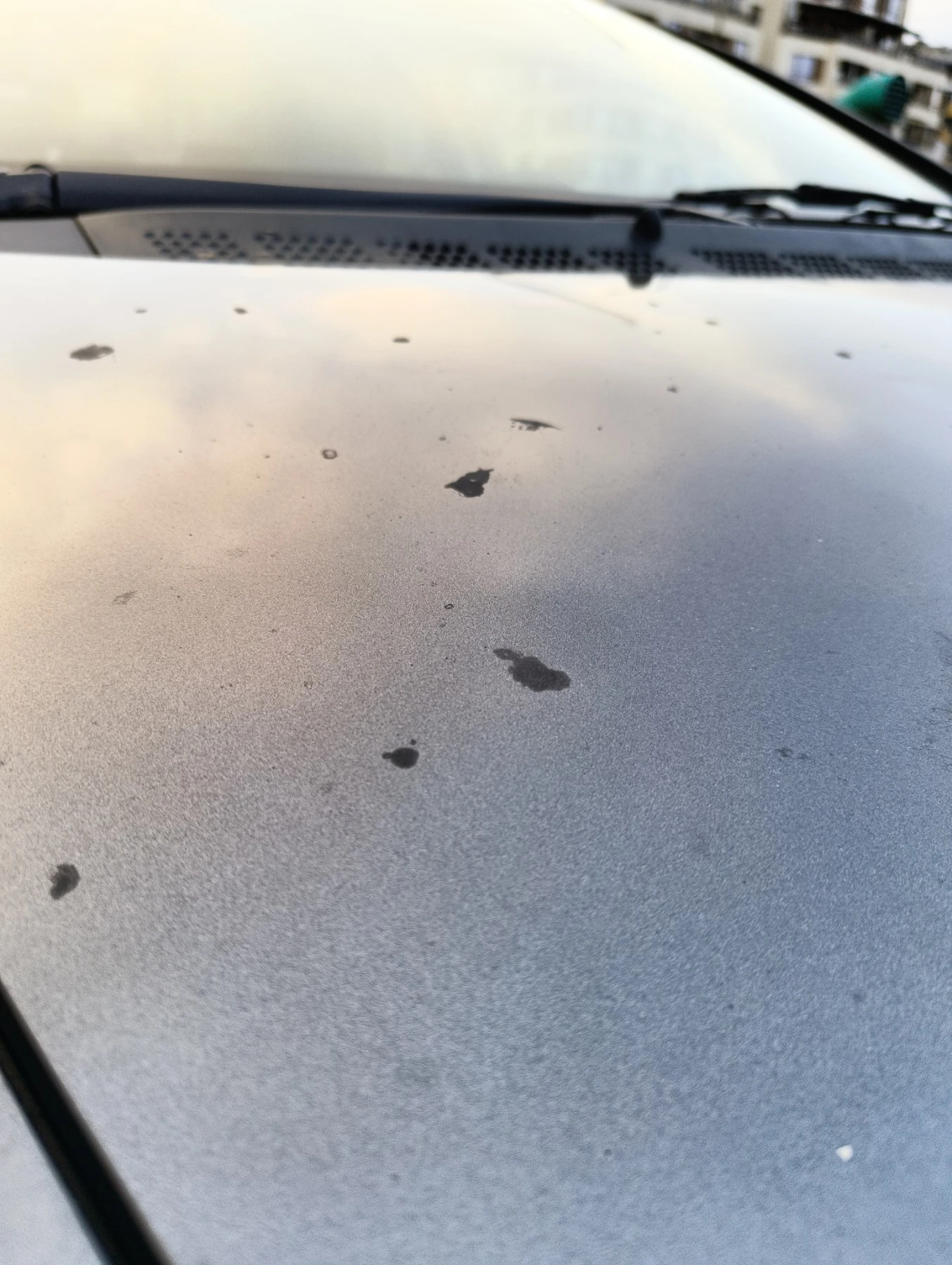 Honda Civic  - изображение 9